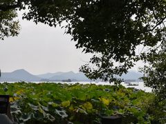 -西湖游船