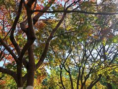 -昆山城市生态森林公园