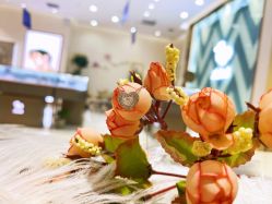 -钻石小鸟钻戒婚戒定制(石路店)