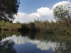 -同里国家湿地公园