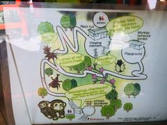 -岚山猴子公园