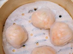 鲜虾露笋饺-喜宴·粤菜·茶点·海鲜(光浩店)