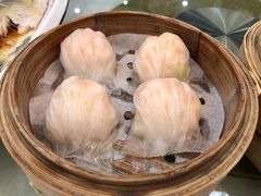 笋尖原只虾饺皇-松雅轩海鲜酒家(同和店)