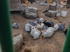 -羊亭河湿地公园