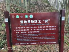 -大围山国家森林公园