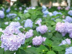 -常州古运河南大街文化旅游区-人民公园