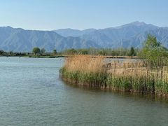 -野鸭湖国家湿地公园