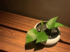 -常乐·对症推拿(来福士第43分店)