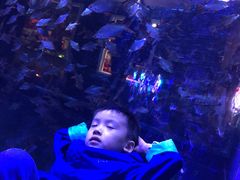 -成都浩海立方海洋公园