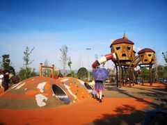 -枫香湖儿童公园