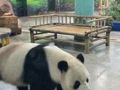 -临沂动植物园
