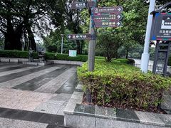 -荔湾湖公园