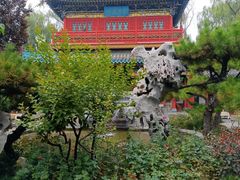 -迎泽公园