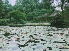 -杭州植物园
