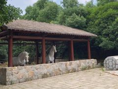 -白马涧龙池景区