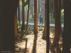 -山王坪喀斯特国家生态公园