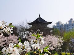 -堤角公园