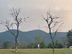 -白石龙音乐公园