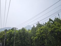 -阳台山自然风景区