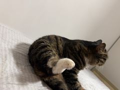 -泰康拜博口腔(世博园乐尔店)