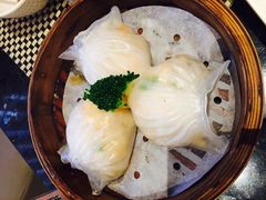 -新兴·金羊座·粤菜点心(乐峰店)