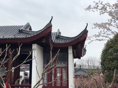 -堤角公园