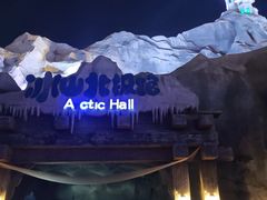 -上海海昌海洋公园-冰山北极馆