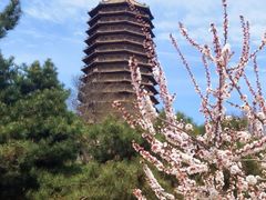 -玲珑塔公园