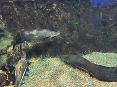 -太平洋海底世界