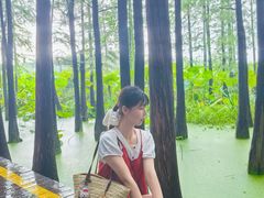 -云龙湖旅游景区