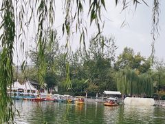 -莲湖公园