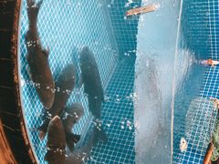 -梁家大院•农家菜(昆山会展中心店)