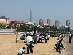 -海河外滩公园