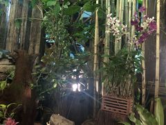 -自然餐厅(Phuket)