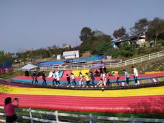 -武汉紫薇都市田园