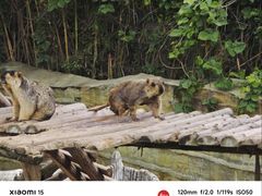 -泉州海丝野生动物世界