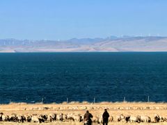 -青海湖国家重点风景名胜区