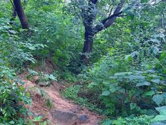 -阳台山自然风景区
