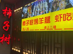 -柿子树炭烤羊腿(金台路店)