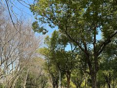 -良渚文化村