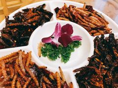 昆虫拼盘-醉云喃