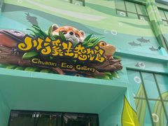 -海合安成都极地海洋公园