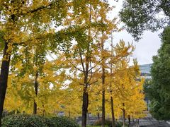 -杭州城北体育公园