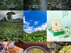 -华祥苑茶馆•国缤茶小蓝罐(普罗旺斯店)