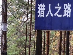 -莫尔道嘎国家森林公园