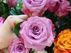 -森野花艺培训·企业团建活动沙龙