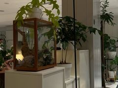 -一尺花园(安和花园店)