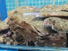 -旺角小渔村·海肠捞饭开创者(二马路店)