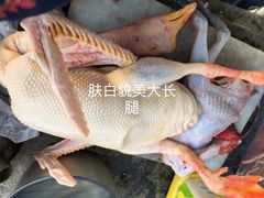 -大圩自在人土鸡场(大圩自在人垂钓店)