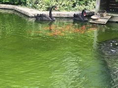 -行者书屋大堂吧 ·下午茶(南京圣和府邸酒店)